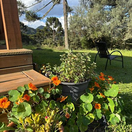 Casa Da Montanha Villa Urubici Eksteriør billede